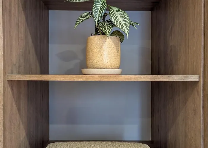 Apartment In Roma, Cdmx - Pool, Rooftop & Parking